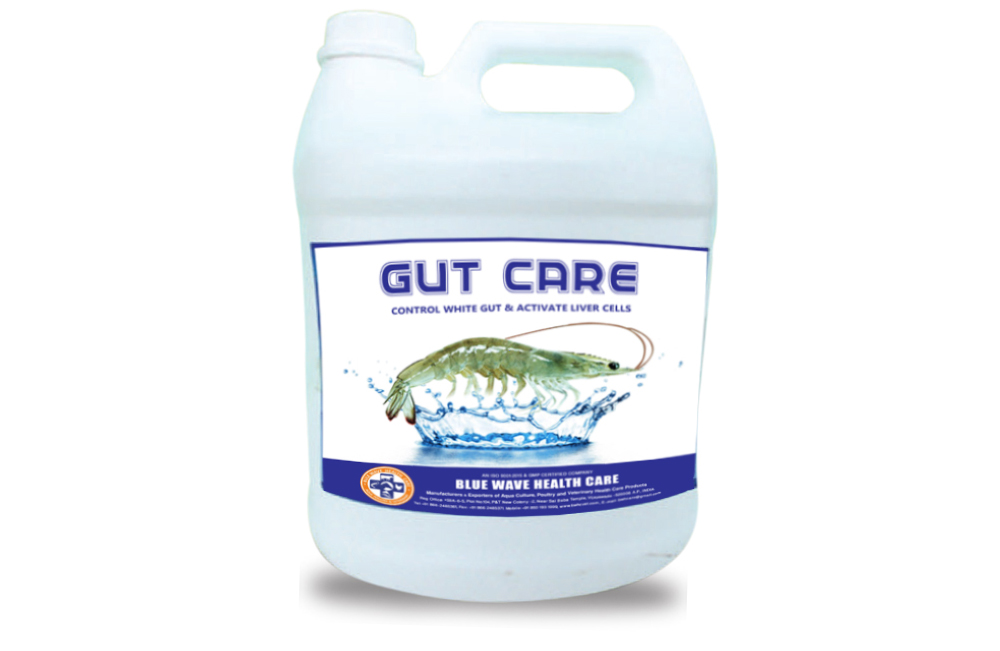 GUT CARE ( CONTROL WHITE GUT & ACTIVATE LIVER CELLS)